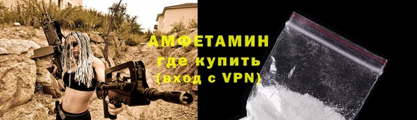 молекула духа Елизово