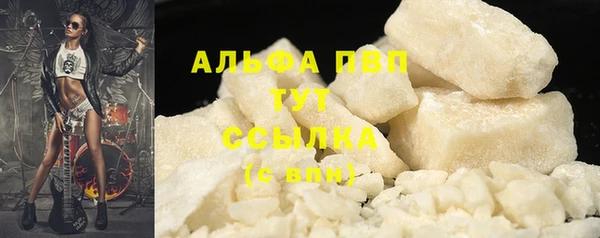 spice Ельня