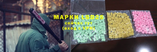 spice Ельня