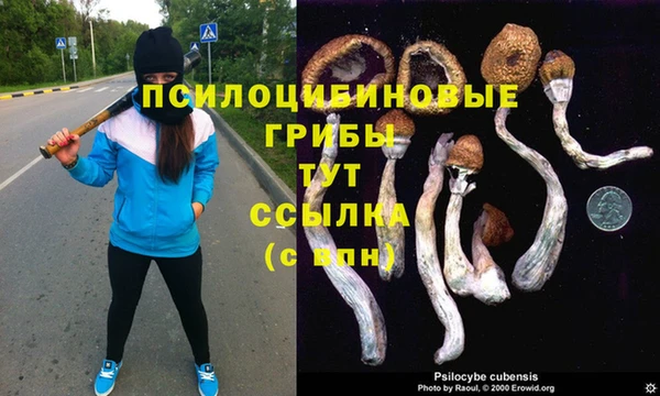 jwh Елабуга