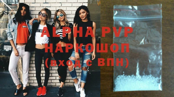 молекула духа Елизово