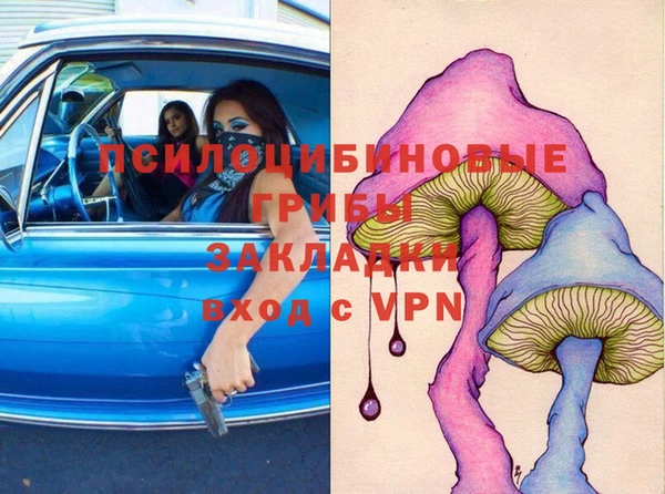 молекула духа Елизово