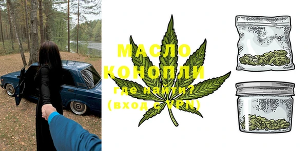 молекула духа Елизово