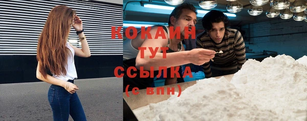 молекула духа Елизово