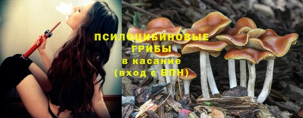 jwh Елабуга