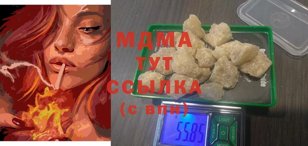 spice Ельня
