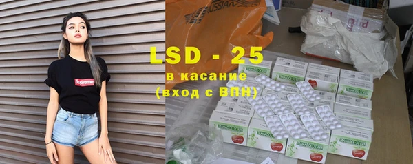 spice Ельня