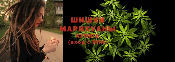 spice Ельня