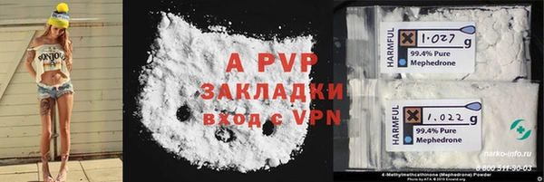 молекула духа Елизово