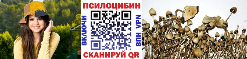 Псилоцибиновые грибы Psilocybe  Орехово-Зуево 